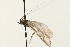  ( - 08RMCAD-0309)  @13 [ ] CreativeCommons - Attribution (2010) Unspecified Centre for Biodiversity Genomics