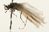  ( - 08RMCAD-0310)  @13 [ ] CreativeCommons - Attribution (2010) Unspecified Centre for Biodiversity Genomics