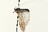  ( - 08RMCAD-0312)  @14 [ ] CreativeCommons - Attribution (2010) Unspecified Centre for Biodiversity Genomics