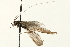  ( - 08RMCAD-0313)  @13 [ ] CreativeCommons - Attribution (2010) Unspecified Centre for Biodiversity Genomics