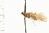  ( - 08RMCAD-0028)  @11 [ ] CreativeCommons - Attribution (2008) Unspecified Centre for Biodiversity Genomics