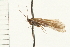  ( - 08RMCAD-0032)  @13 [ ] CreativeCommons - Attribution (2008) Unspecified Centre for Biodiversity Genomics