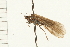  ( - 08RMCAD-0033)  @12 [ ] CreativeCommons - Attribution (2008) Unspecified Centre for Biodiversity Genomics