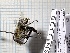  ( - RN1138)  @11 [ ] Unspecified (default): All Rights Reserved (2024) Rainer Neumeyer Unspecified