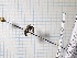  (Hylaeus imparillis - RN1149)  @11 [ ] Unspecified (default): All Rights Reserved (2024) Rainer Neumeyer Unspecified