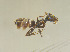  ( - SS24C175)  @11 [ ] Unspecified (default): All Rights Reserved (2024) Saemi Schaer Unspecified