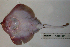  ( - RNEZ229)  @13 [ ] Copyright (2010) Stephen Cotterell Unspecified