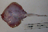  ( - RNEZ230)  @13 [ ] Copyright (2010) Stephen Cotterell Unspecified