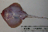  ( - RNEZ231)  @13 [ ] Copyright (2010) Stephen Cotterell Unspecified
