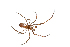  ( - XMAD_038)  @11 [ ] Copyright (2017) David Liittschwager Natural History Photography