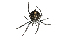  ( - XMAD_109)  @11 [ ] Copyright (2017) David Liittschwager Natural History Photography