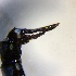  ( - ROAE-AA-2)  @11 [ ] Creative Commons-Attribution Non Commercial-Share Alike (2020) Lujza Keresztes Unspecified