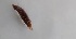  ( - DIATIM_VB2_07)  @11 [ ] Creative Commons-Attribution Non Commercial-Share Alike (2023) Andrei Terec Unspecified