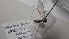  ( - DIBLLCO_PM_02)  @11 [ ] Creative Commons-Attribution Non Commercial-Share Alike (2022) Lujza Keresztes Unspecified