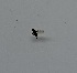  ( - DIBRXX-ROCJIP-SVIP-02)  @11 [ ] Creative Commons-Attribution Non Commercial-Share Alike (2021) Lujza Keresztes Unspecified