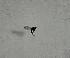  ( - DIBRXX-ROCJSB-MM-48)  @11 [ ] Creative Commons-Attribution Non Commercial-Share Alike (2021) Lujza Keresztes Unspecified