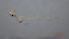  ( - DICACR_MNPlav_01)  @11 [ ] Creative Commons-Attribution Non Commercial-Share Alike (2022) Lujza Keresztes Unspecified