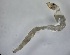  ( - DICA_ROVL_031122_02)  @11 [ ] Creative Commons-Attribution Non Commercial-Share Alike (2023) Andrei Terec Unspecified