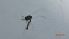  ( - DICH_SC2a_03)  @11 [ ] Creative Commons-Attribution Non Commercial-Share Alike (2022) Lujza Keresztes Unspecified