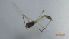  ( - DICH_SVIP_05)  @11 [ ] Creative Commons-Attribution Non Commercial-Share Alike (2022) Lujza Keresztes Unspecified