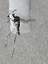  ( - DICUAP_VB3_01)  @11 [ ] Creative Commons-Attribution Non Commercial-Share Alike (2022) Lujza Keresztes Unspecified