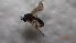  ( - DIDO_FI1_02)  @11 [ ] Creative Commons-Attribution Non Commercial-Share Alike (2022) Lujza Keresztes Unspecified