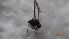  ( - DIDO_FI2c_01)  @11 [ ] Creative Commons-Attribution Non Commercial-Share Alike (2022) Lujza Keresztes Unspecified
