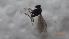  ( - DIDO_FI2c_02)  @11 [ ] Creative Commons-Attribution Non Commercial-Share Alike (2022) Lujza Keresztes Unspecified