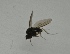  ( - DIDO-ROBNGL-VL-02)  @11 [ ] Creative Commons-Attribution Non Commercial-Share Alike (2021) Lujza Keresztes Unspecified