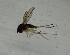  ( - DIDO-ROHRBA-GC-01)  @11 [ ] Creative Commons-Attribution Non Commercial-Share Alike (2021) Lujza Keresztes Unspecified