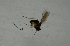  ( - DIDO-ROHRBC-HR-01)  @11 [ ] Creative Commons-Attribution Non Commercial-Share Alike (2021) Lujza Keresztes Unspecified