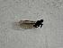  ( - DIEM-ROCJDP-PM-11)  @11 [ ] Creative Commons-Attribution Non Commercial-Share Alike (2021) Lujza Keresztes Unspecified