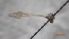  ( - DIPEDF_FI2a_03)  @11 [ ] Creative Commons-Attribution Non Commercial-Share Alike (2022) Lujza Keresztes Unspecified