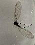  ( - DIPE-DPSF-ROCJDP-FI2c-01)  @11 [ ] Creative Commons-Attribution Non Commercial-Share Alike (2021) Lujza Keresztes Unspecified