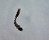  ( - DISI_LALAam_09)  @11 [ ] Creative Commons-Attribution Non Commercial-Share Alike (2023) Lujza Keresztes Unspecified