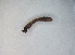  ( - DISI_ROD4_02)  @11 [ ] Creative Commons-Attribution Non Commercial-Share Alike (2023) Lujza Keresztes Unspecified