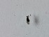  ( - DISO-ROCJSB-MM-01)  @11 [ ] Creative Commons-Attribution Non Commercial-Share Alike (2021) Lujza Keresztes Unspecified