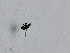  ( - DISO-ROCJSB-MM-02)  @11 [ ] Creative Commons-Attribution Non Commercial-Share Alike (2021) Lujza Keresztes Unspecified