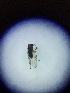  ( - DITH-TRU-ROCJFI-MR-03)  @11 [ ] Creative Commons-Attribution Non Commercial-Share Alike (2021) Lujza Keresztes Unspecified
