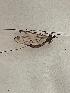  ( - DITI-TSGO-MNPL-BP02)  @11 [ ] Creative Commons-Attribution Non Commercial-Share Alike (2021) Lujza Keresztes Unspecified