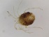  ( - G-HY-ATSP1-SC1-03)  @11 [ ] Creative Commons-Attribution Non Commercial-Share Alike (2021) Mirela Cimpean Unspecified