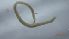  ( - OLTU_FI2a_06)  @11 [ ] Creative Commons-Attribution Non Commercial-Share Alike (2022) Lujza Keresztes Unspecified