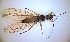  ( - PLNESC-HU-PE-03)  @11 [ ] Creative Commons-Attribution Non Commercial-Share Alike (2021) Lujza Keresztes Unspecified