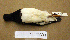  ( - AJB 4786)  @13 [ ] CreativeCommons - Attribution (2010) Unspecified Royal Ontario Museum