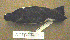  ( - MKP 2548)  @14 [ ] CreativeCommons - Attribution (2010) Unspecified Royal Ontario Museum