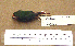  ( - 1B-410)  @13 [ ] CreativeCommons - Attribution (2010) Unspecified Royal Ontario Museum
