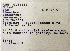  (Phaethon aethereus - 1B-65)  @11 [ ] CreativeCommons - Attribution (2010) Unspecified Royal Ontario Museum