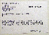  ( - 1B-366)  @11 [ ] CreativeCommons - Attribution (2010) Unspecified Royal Ontario Museum