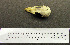  ( - 1B-369)  @12 [ ] CreativeCommons - Attribution (2010) Unspecified Royal Ontario Museum
