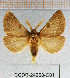  ( - CCDB-24268-C01)  @11 [ ] CreativeCommons  Attribution Non-Commercial Share-Alike (2016) Cristian Sitar Unspecified